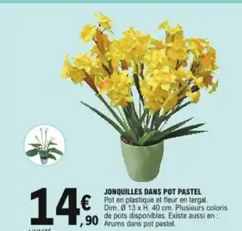 E.Leclerc Jonquilles dans pot pastel offre