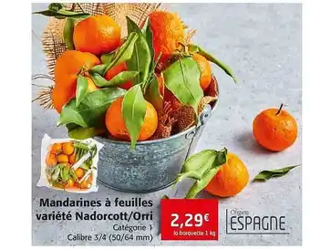 Colruyt Mandarines à Feuilles Variété Nadorcott - Orri offre