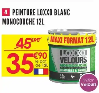 Décor Discount Peinture loxxo blanc monocouche 12L offre