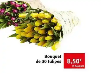 Colruyt Bouquet De 30 Tulipes offre