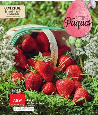 Colruyt Fraises de carpentras offre