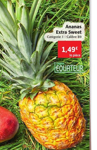 Colruyt Ananas extra sweet offre