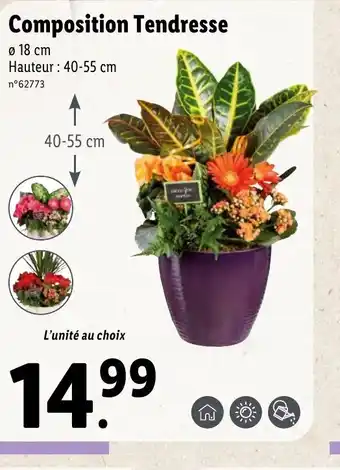 Lidl Composition Tendresse offre