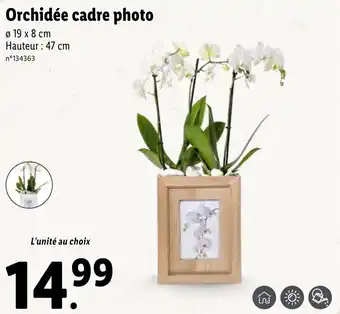 Lidl Orchidée Cadre Photo offre