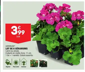 ALDI Lot de 6 Géraniums offre