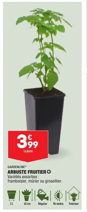 ALDI Arbuste Fruitier offre