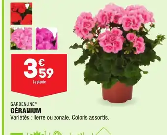 ALDI Géranium offre