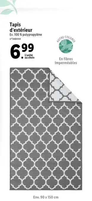 Lidl Tapis D'extérieur offre