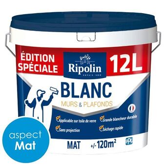 Décor Discount Peinture blanc ripolin 12l offre