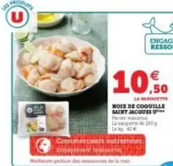 Super U Noix de coquille saint jacques u offre