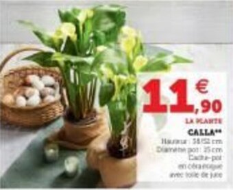 Super U Calla offre