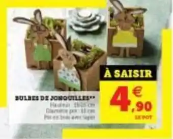 Super U Bulbes de jonquilles offre