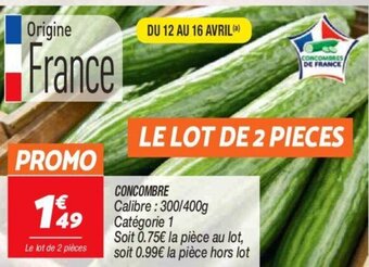 Netto Concombre offre