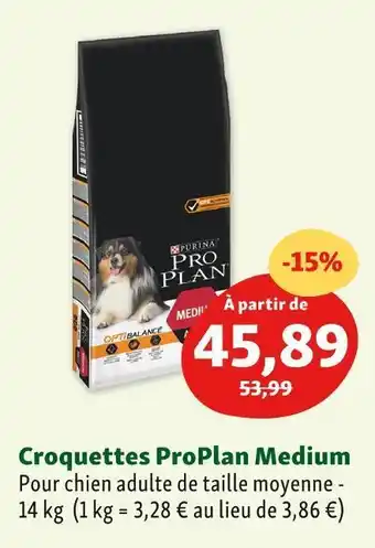 Maxi Zoo Purina croquettes medium offre