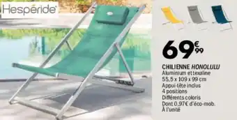 La Foir'Fouille Chilienne homolulu offre