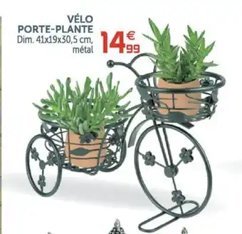 Vélo Porte-Plante
