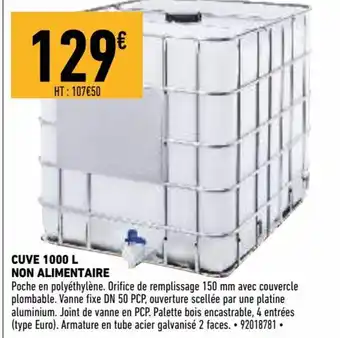 Brico Cash Cuve 1000L offre