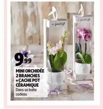 Auchan Mini Orchidée 2 Branches + Cache Pot Céramique offre