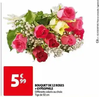 Auchan Bouquet De 12 Roses + Gypsophile offre