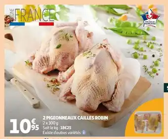 Auchan 2 pigeonneaux cailles robin offre