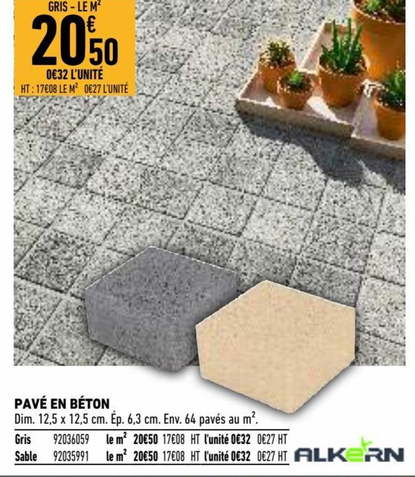 Promo Pavé en béton chez Brico Cash