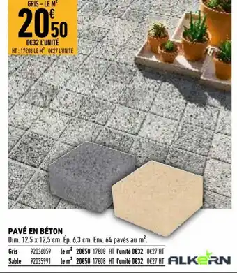 Brico Cash Pavé en béton offre
