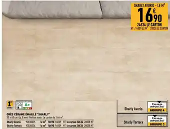 Brico Cash Grès cérame émaillé Sharly offre