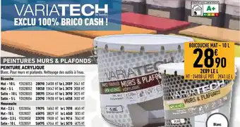 Brico Cash Peinture acrylique offre