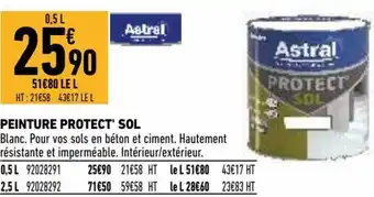 Brico Cash Peinture protect sol offre
