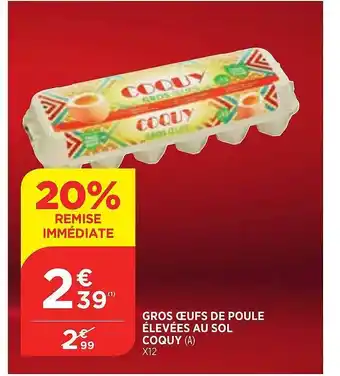 Bi1 Gros Oeufs De Poule élevées Au Sol Coquy offre