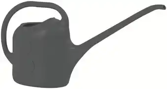 Mr Bricolage Arrosoir long bec 2 L offre