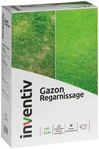 Mr Bricolage Gazon regarnissage 1 kg offre