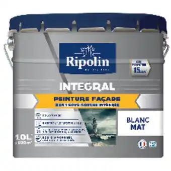 Brico Dépôt Peinture façade siloxane 2 en 1 10 l* offre