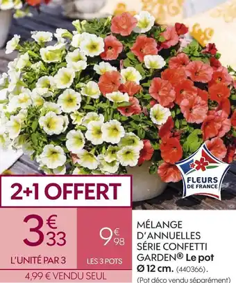 Truffaut Mélange d’annuelles série confetti garden offre