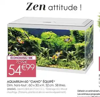 Truffaut Ciano aquarium 60 équipé offre