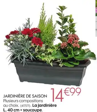 Jardinière de saison