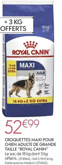Truffaut Royal canin croquettes maxi pour chien adulte de grande taille offre