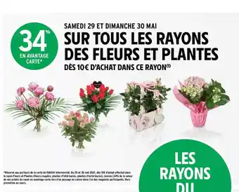 Intermarché Express Fleurs Et Plantes offre