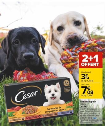 Carrefour Cesar barquettes pour chiens offre
