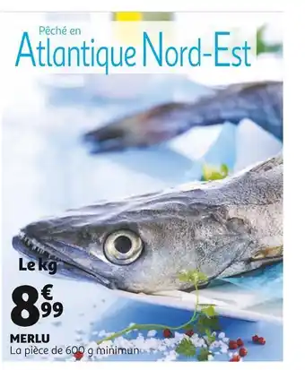 Auchan Merlu offre