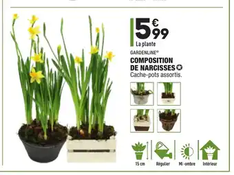 ALDI Composition de Narcisses offre
