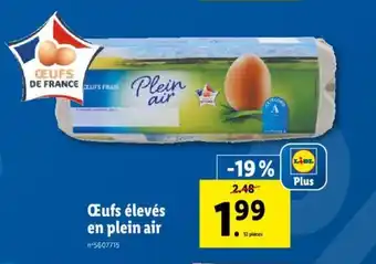 Oeufs élevés En Plein Air