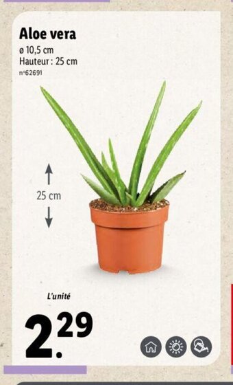 Lidl Aloe Vera offre