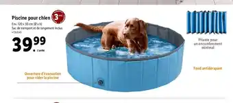 Lidl Piscine Pour Chien offre
