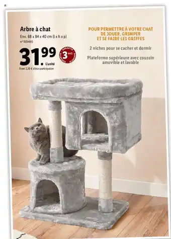 Lidl Arbre A Chat offre