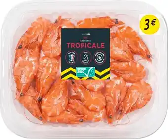 Match Crevette tropicale offre
