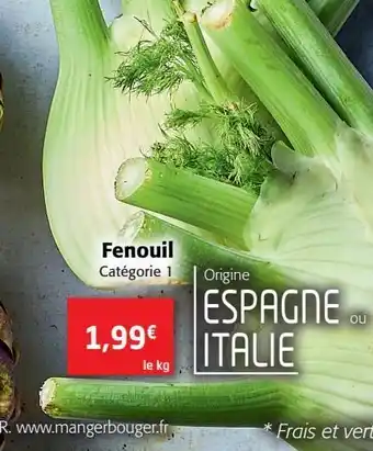 Fenouil