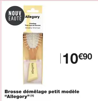 Monoprix Allegory brosse démêlage petit modèle offre