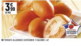 Tomate allongée catégorie 1 calibre +47