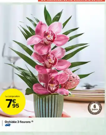 Carrefour Market Orchidée 3 Fleurons offre